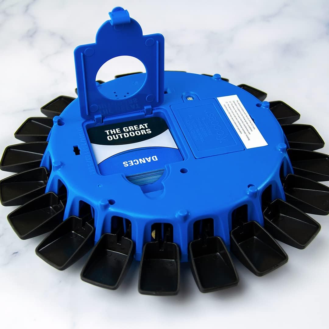 Buzzout Word Game | Fast-Paced Family Fun & Learning for All Ages